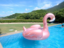 Load image into Gallery viewer, Pretty in Pink: The Majestic Flair of Our Flamingo Pool Float
